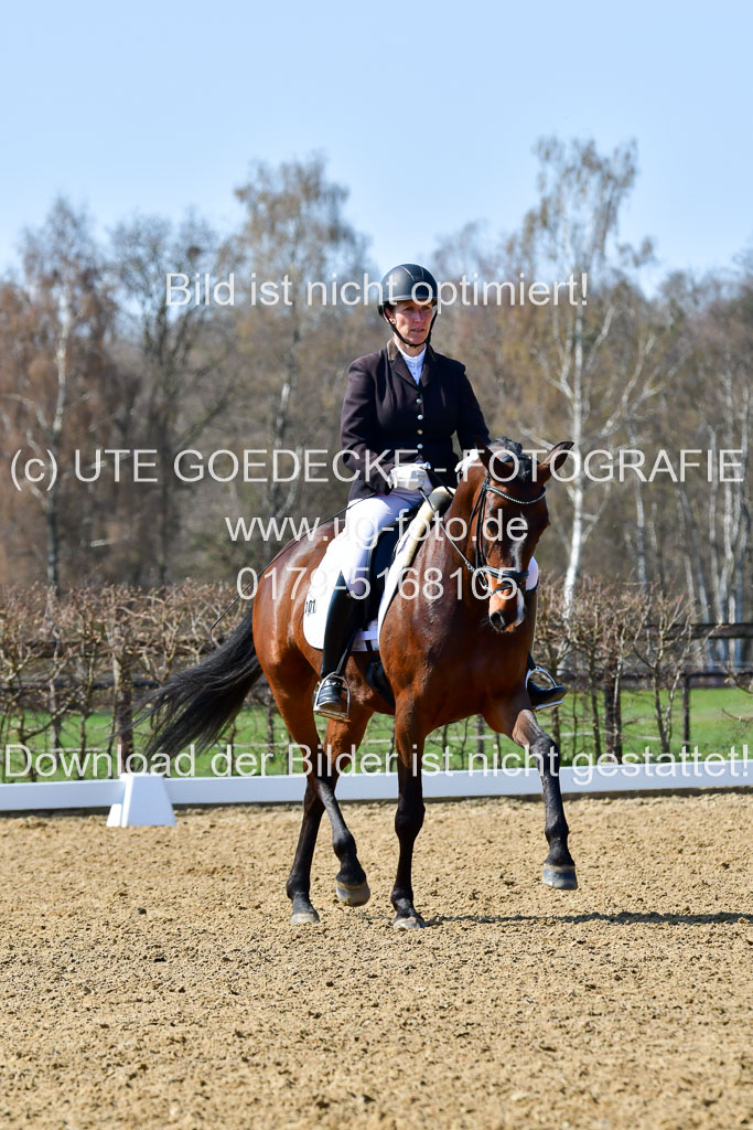 Reitsportzentrum Bremervörde | 160421Dressurpf L_106 