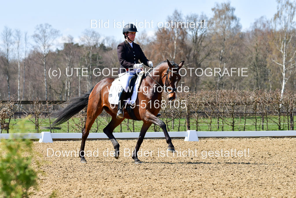 Reitsportzentrum Bremervörde | 160421Dressurpf L_108