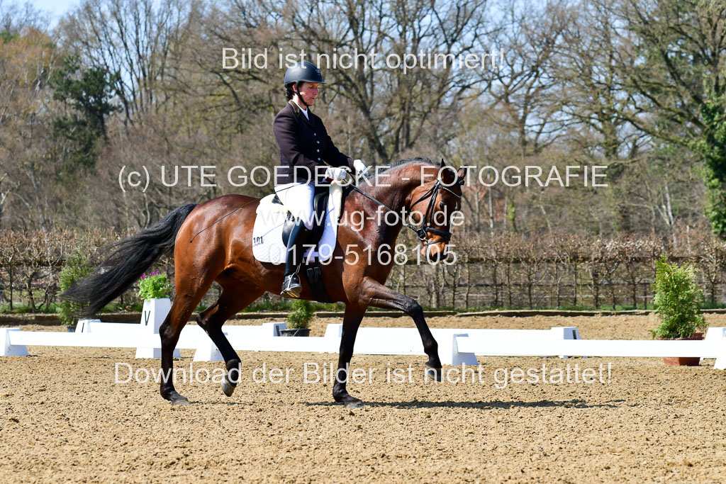 Reitsportzentrum Bremervörde | 160421Dressurpf L_111 