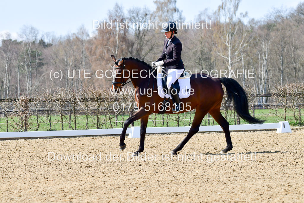 Reitsportzentrum Bremervörde | 160421Dressurpf L_113 