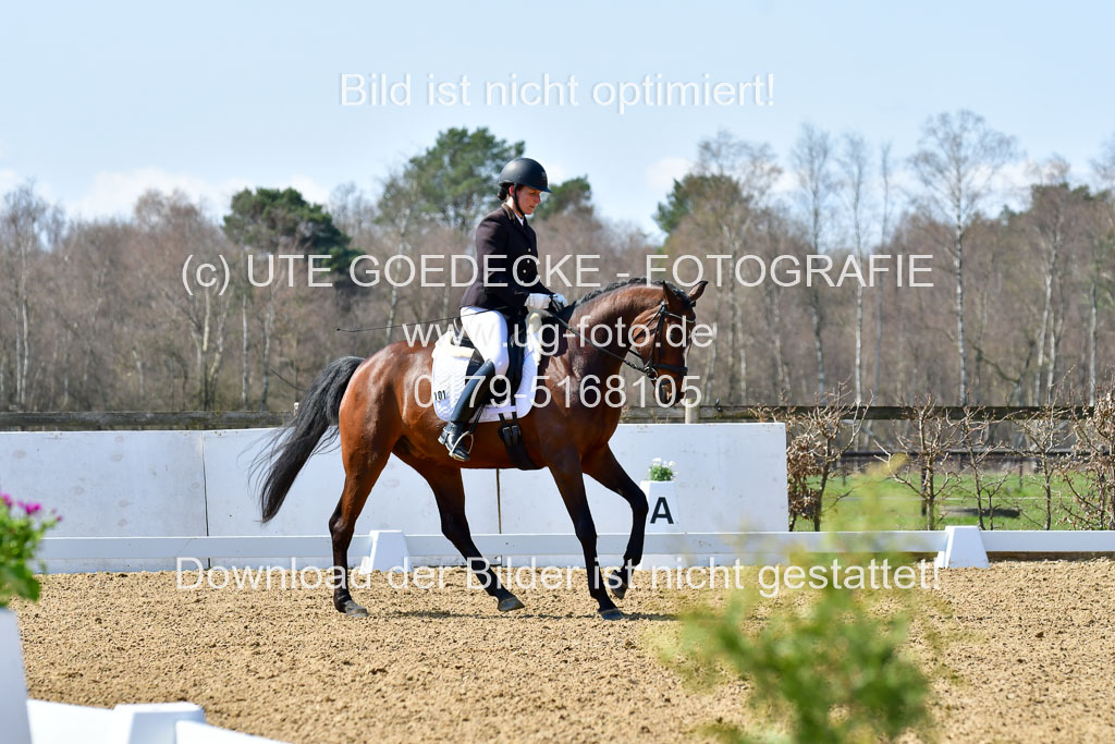 Reitsportzentrum Bremervörde | 160421Dressurpf L_115 