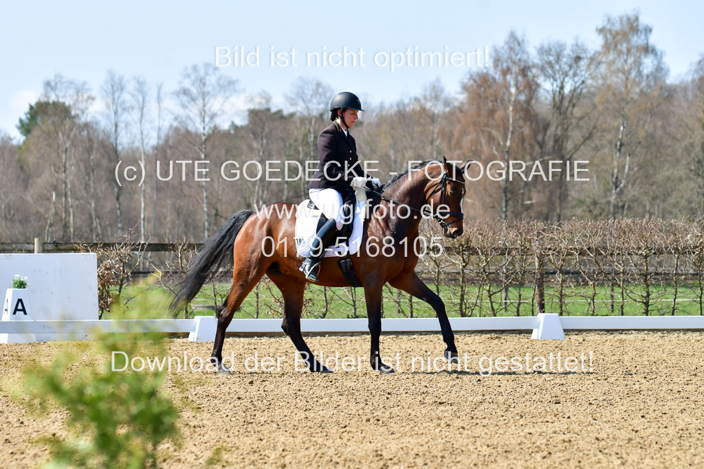 Reitsportzentrum Bremervörde | 160421Dressurpf L_116 