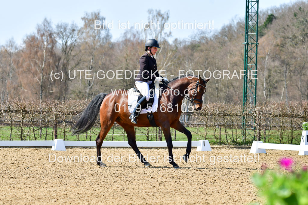 Reitsportzentrum Bremervörde | 160421Dressurpf L_117