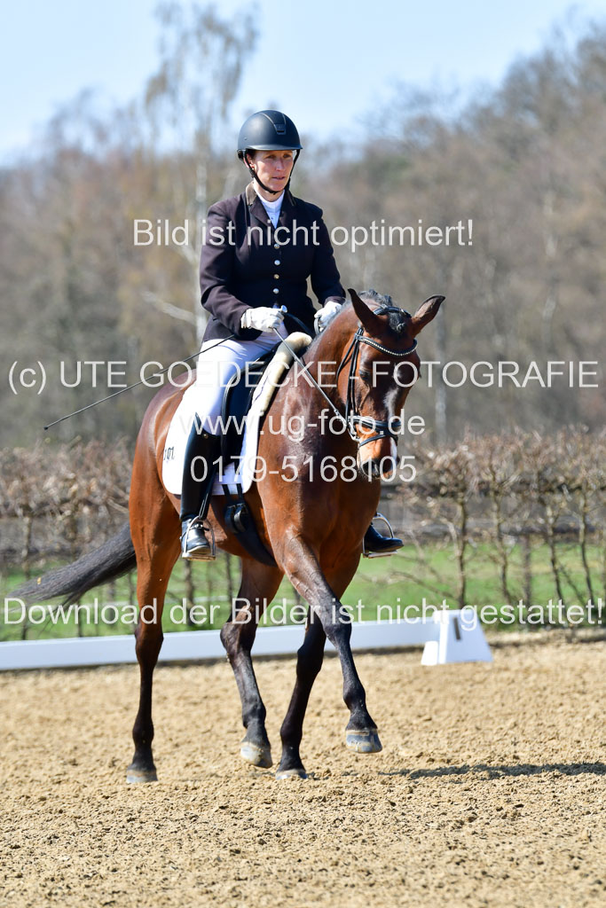Reitsportzentrum Bremervörde | 160421Dressurpf L_118
