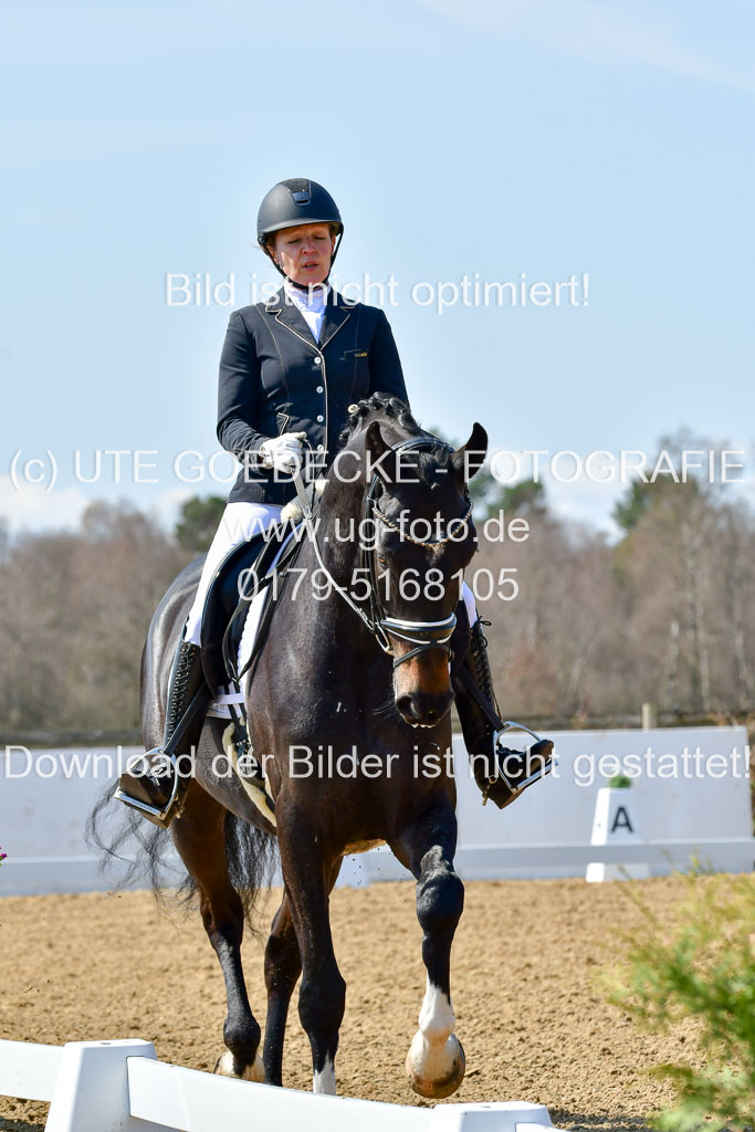 Reitsportzentrum Bremervörde | 160421Dressurpf L_121