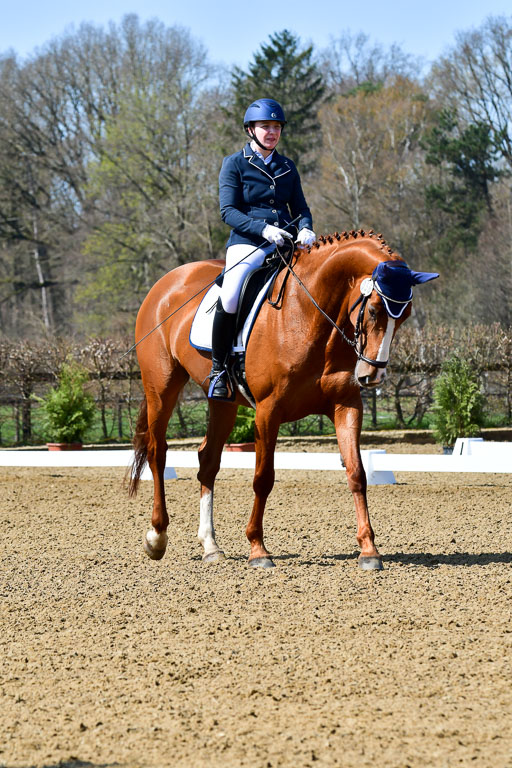 Reitsportzentrum Bremervörde | 160421Dressurpf L_016 