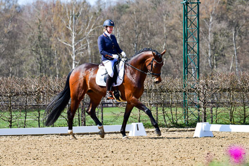 Reitsportzentrum Bremervörde | 160421Dressurpf L_017 