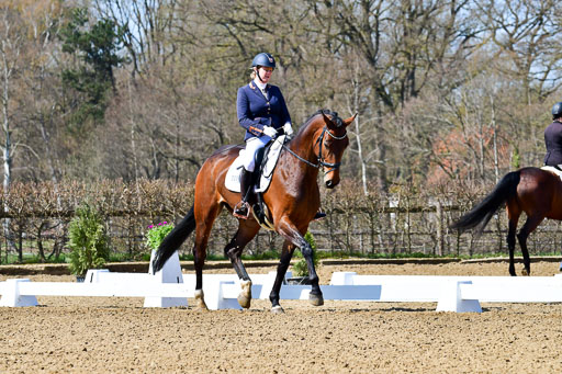 Reitsportzentrum Bremervörde | 160421Dressurpf L_018 