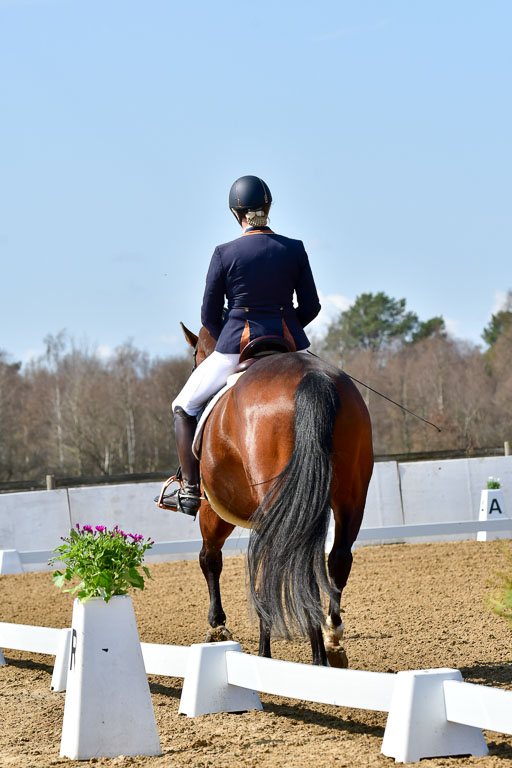 Reitsportzentrum Bremervörde | 160421Dressurpf L_019 