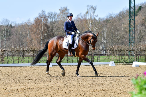 Reitsportzentrum Bremervörde | 160421Dressurpf L_020 