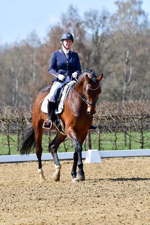 Reitsportzentrum Bremervörde | 160421Dressurpf L_022 