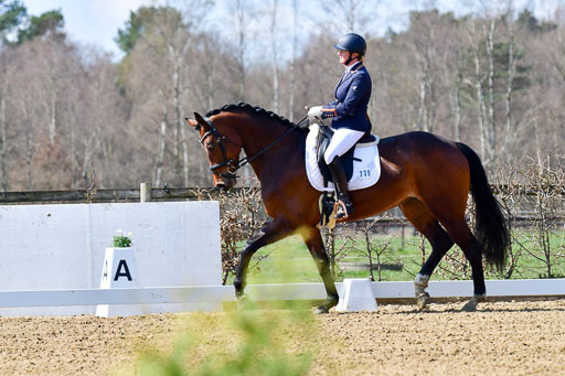 Reitsportzentrum Bremervörde | 160421Dressurpf L_026 