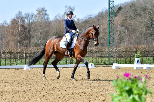 Reitsportzentrum Bremervörde | 160421Dressurpf L_027 