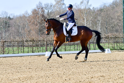 Reitsportzentrum Bremervörde | 160421Dressurpf L_035 