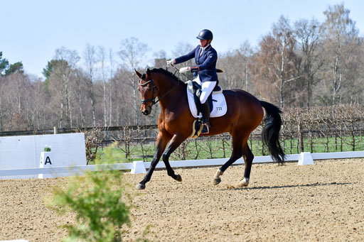 Reitsportzentrum Bremervörde | 160421Dressurpf L_036 