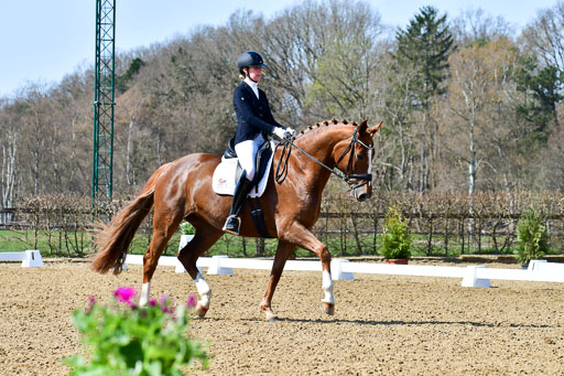 Reitsportzentrum Bremervörde | 160421Dressurpf L_046 