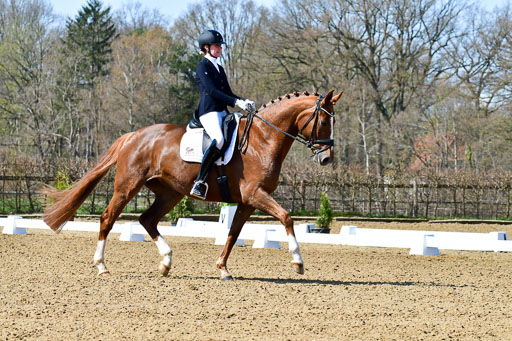Reitsportzentrum Bremervörde | 160421Dressurpf L_047 
