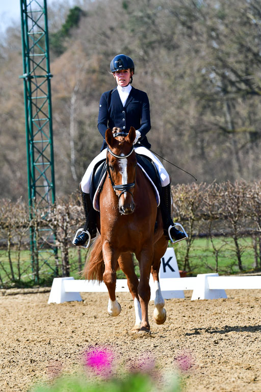 Reitsportzentrum Bremervörde | 160421Dressurpf L_048 