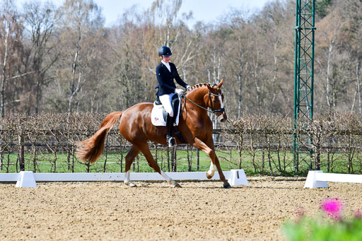 Reitsportzentrum Bremervörde | 160421Dressurpf L_050 
