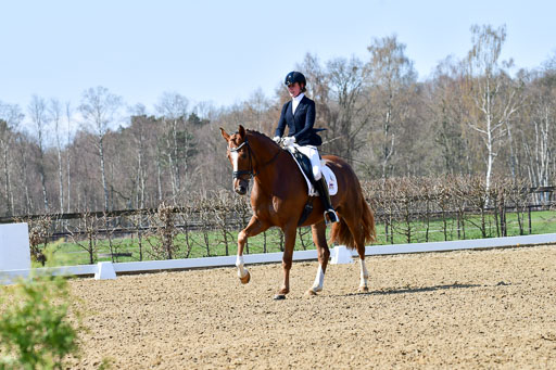Reitsportzentrum Bremervörde | 160421Dressurpf L_051 