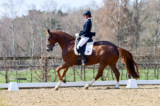 Reitsportzentrum Bremervörde | 160421Dressurpf L_053 