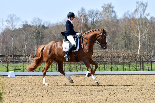 Reitsportzentrum Bremervörde | 160421Dressurpf L_056 