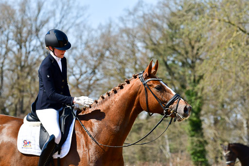Reitsportzentrum Bremervörde | 160421Dressurpf L_062 