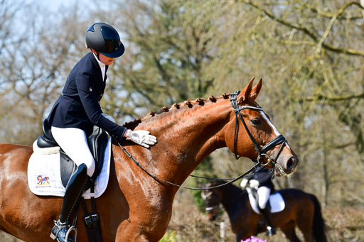 Reitsportzentrum Bremervörde | 160421Dressurpf L_063 