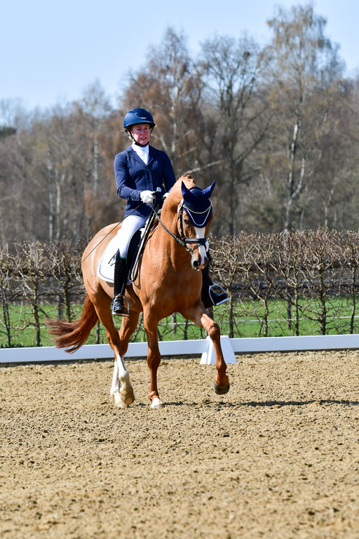 Reitsportzentrum Bremervörde | 160421Dressurpf L_066 