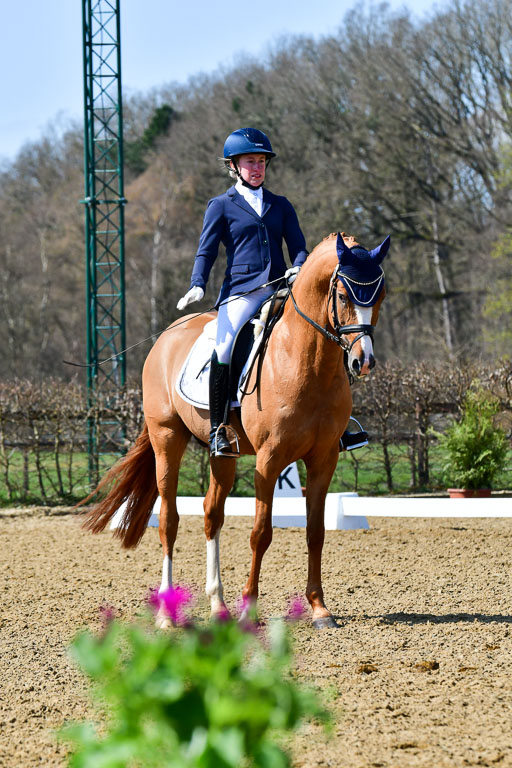 Reitsportzentrum Bremervörde | 160421Dressurpf L_068 