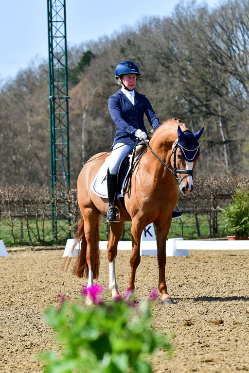 Reitsportzentrum Bremervörde | 160421Dressurpf L_069 