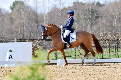 Reitsportzentrum Bremervörde | 160421Dressurpf L_072 