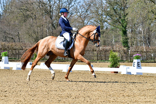 Reitsportzentrum Bremervörde | 160421Dressurpf L_076 