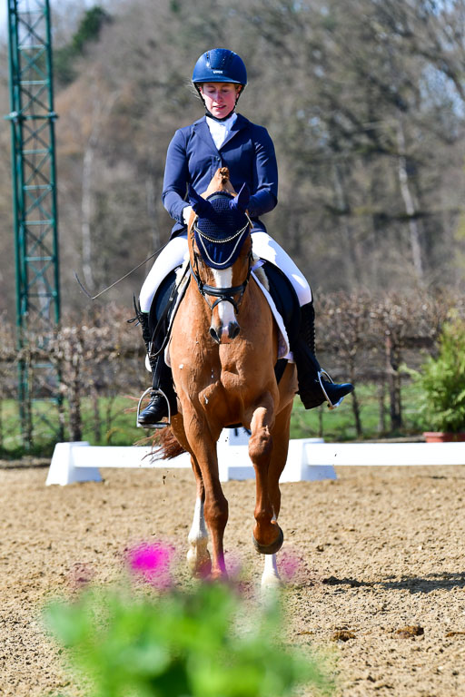 Reitsportzentrum Bremervörde | 160421Dressurpf L_077 