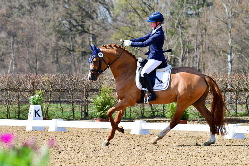 Reitsportzentrum Bremervörde | 160421Dressurpf L_078 