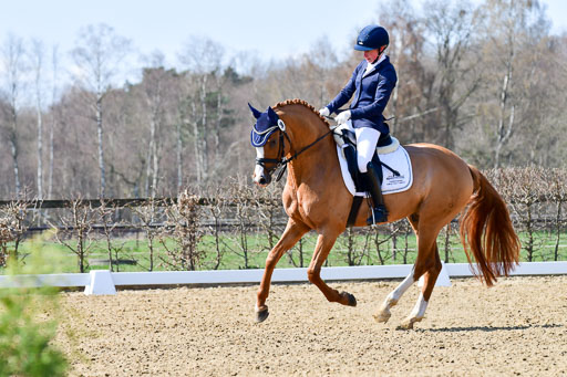 Reitsportzentrum Bremervörde | 160421Dressurpf L_079 