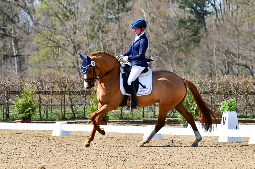 Reitsportzentrum Bremervörde | 160421Dressurpf L_080 