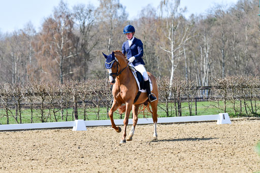 Reitsportzentrum Bremervörde | 160421Dressurpf L_082 