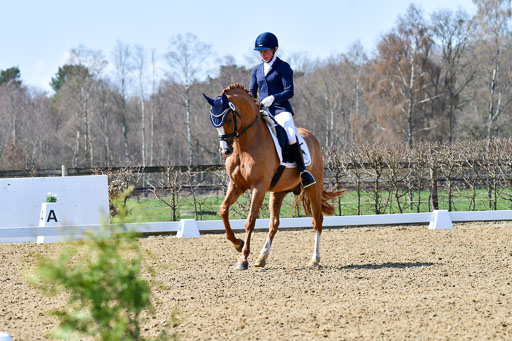 Reitsportzentrum Bremervörde | 160421Dressurpf L_083 