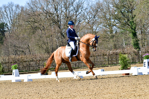 Reitsportzentrum Bremervörde | 160421Dressurpf L_084 