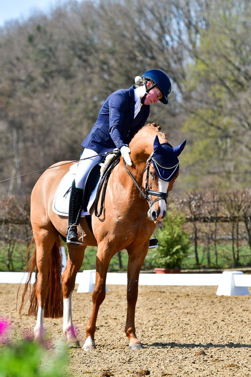 Reitsportzentrum Bremervörde | 160421Dressurpf L_088 