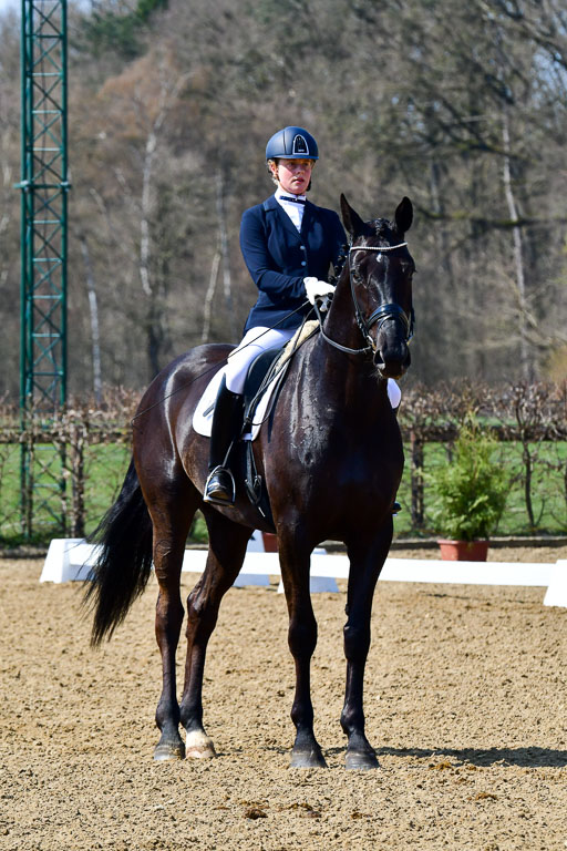 Reitsportzentrum Bremervörde | 160421Dressurpf L_096 