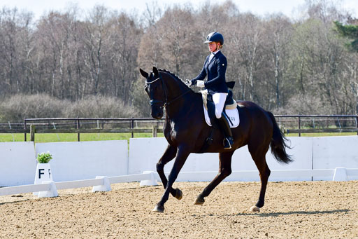 Reitsportzentrum Bremervörde | 160421Dressurpf L_103 