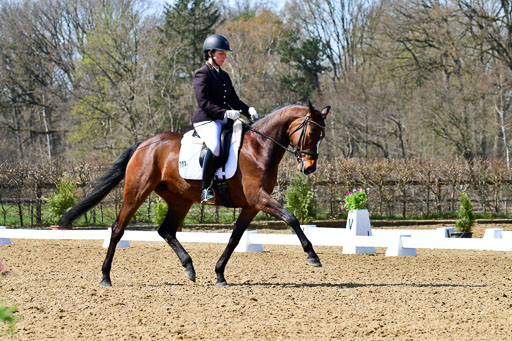 Reitsportzentrum Bremervörde | 160421Dressurpf L_110 