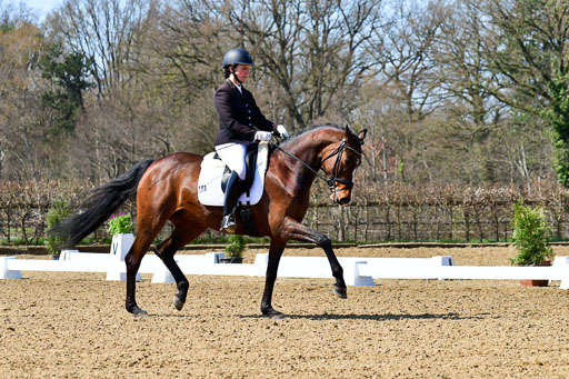 Reitsportzentrum Bremervörde | 160421Dressurpf L_111 