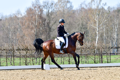 Reitsportzentrum Bremervörde | 160421Dressurpf L_114 