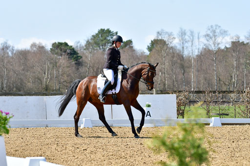 Reitsportzentrum Bremervörde | 160421Dressurpf L_115 