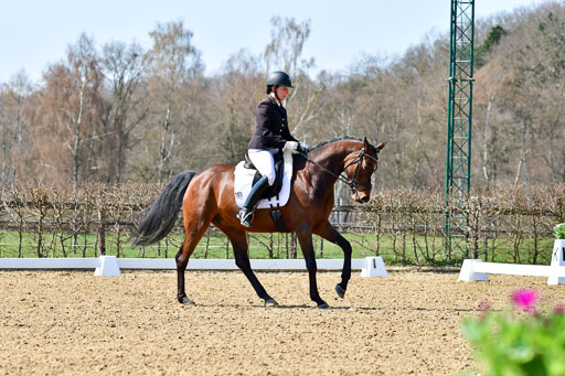 Reitsportzentrum Bremervörde | 160421Dressurpf L_117 