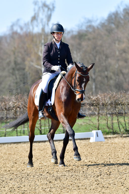 Reitsportzentrum Bremervörde | 160421Dressurpf L_118 