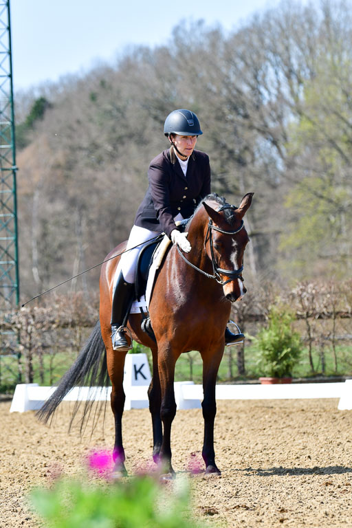 Reitsportzentrum Bremervörde | 160421Dressurpf L_119 